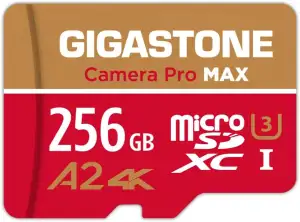 [5 Jahre kostenlose Datenrettung] GIGASTONE 256GB Micro SD Karte, Kamera Pro MAX