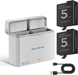 REYGEAK Akku und Ladegerät für DJI Osmo Action 5 Pro/Action 4/3, 2er-Pack Akkus 